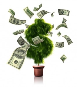 money-tree