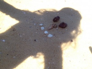 beach-shadow-shadow-person-kids-kids-craft-shadows1