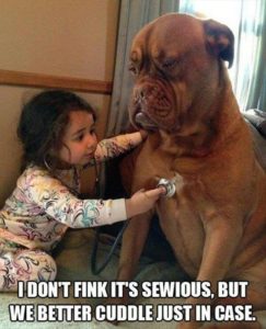 funny-pictures-dog-playing-with-little-girl1