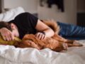 How Getting a Pet Can Help Boost Your Mental  Health